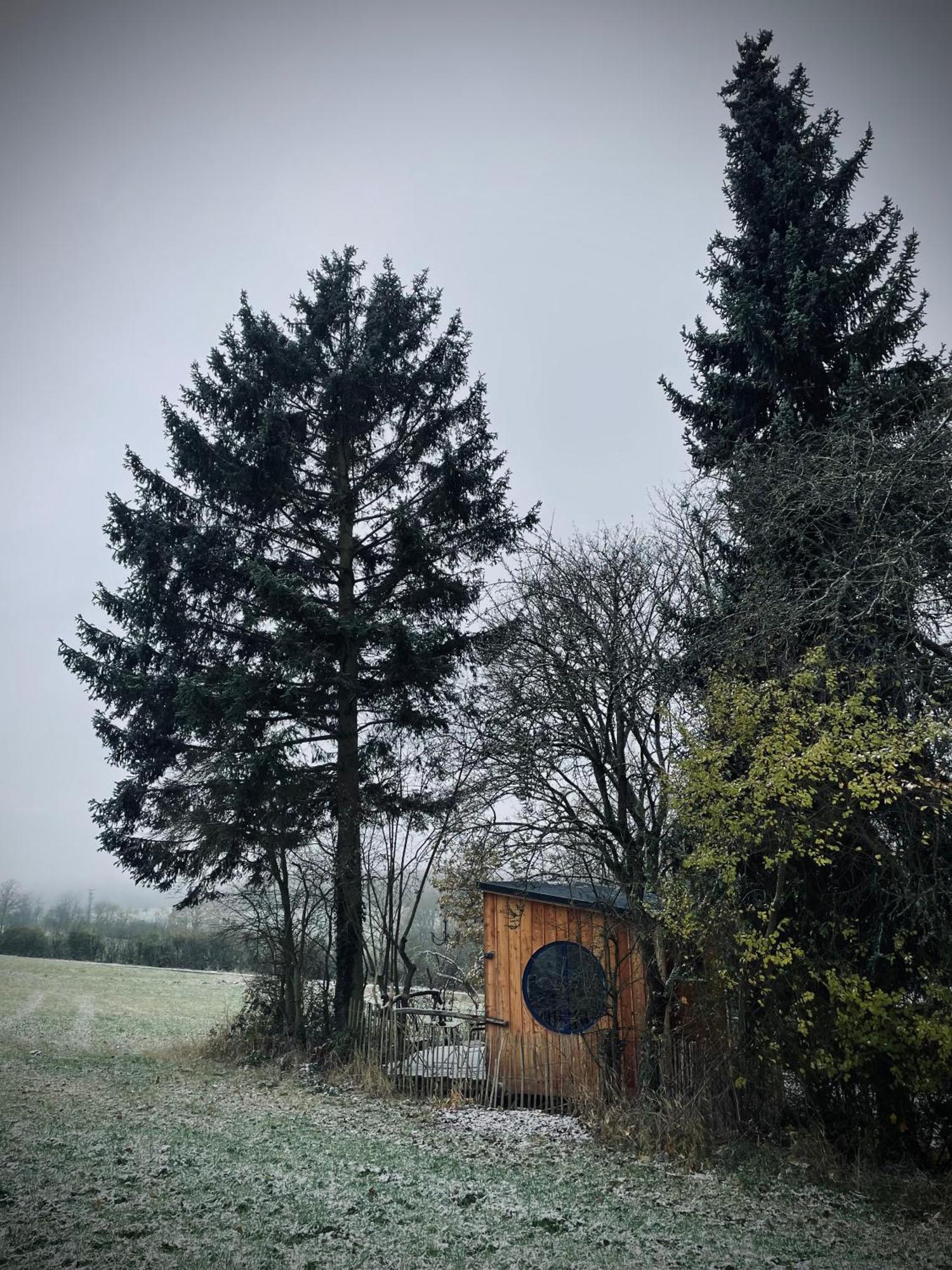 Eulennest - Tiny House Im Habichtswald Villa Schauenburg Exterior foto